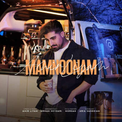 دانلود آهنگ  ممنونم با صدای امیر لیام