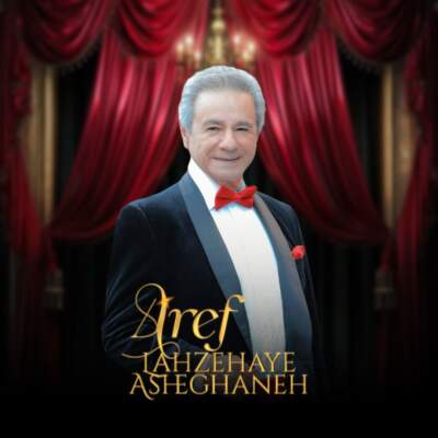 دانلود آهنگ  لحظه های عاشقانه با صدای عارف