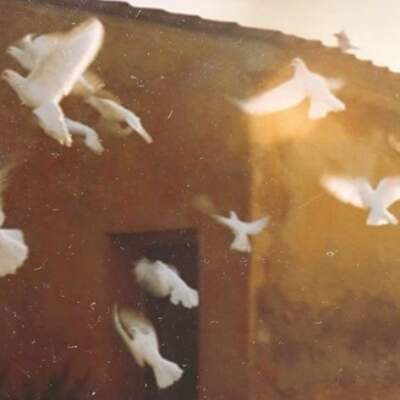 دانلود آهنگ  باتو شعرام میگیره بوی فروغ