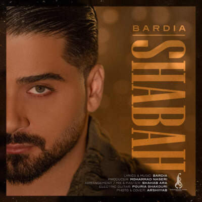 دانلود آهنگ  شبح از بردیا بهادر