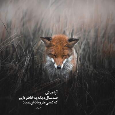 دانلود آهنگ بیا تا و عشقت دل و جو بوازم مجید عزیزی دانلود آهنگ بیا تا و عشقت دل و جو بوازم مجید عزیزی
