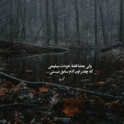 دانلود آهنگ  چه خوشگل شدی امشب از اندی سریال پایتخت