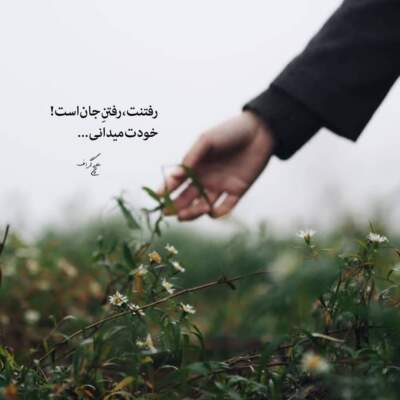 دانلود آهنگ  دل من جز دل تو دیگه یاری نداره