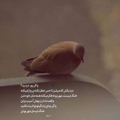 دانلود آهنگ  قلبم یه جوری شده اون که همش دورهمی میرفت الان دختر خوبی شده