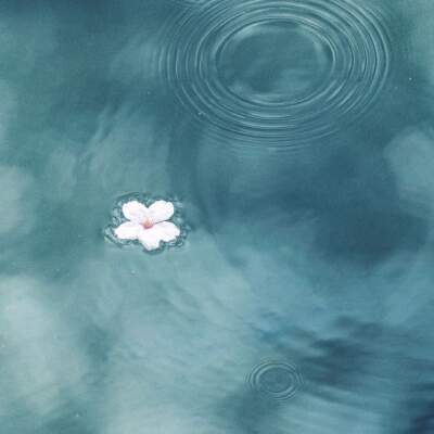 دانلود آهنگ  هر نفس آواز عشق میرسد از چپ و راست محسن چاوشی