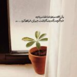 دانلود آهنگ هوامو نداشتی هوایی شدم از محمد اصفهانی دانلود آهنگ هوامو نداشتی هوایی شدم از محمد اصفهانی