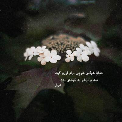 دانلود آهنگ  تو برام عشقی نه یه هوس