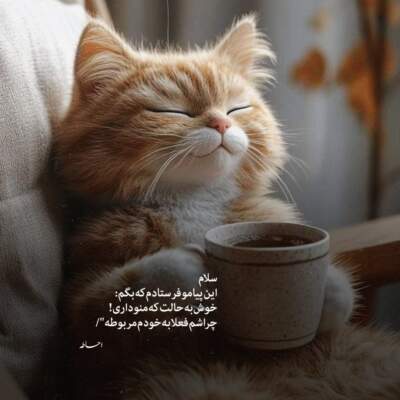 دانلود آهنگ خانم وزیری تتلو دانلود آهنگ خانم وزیری تتلو