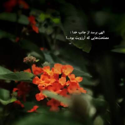 دانلود آهنگ ما چون دو دریچه روبروی هم دانلود آهنگ ما چون دو دریچه روبروی هم