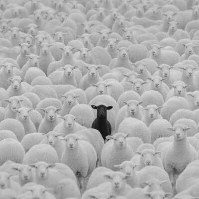 دانلود آهنگ  من ازت خیلی توقع داشتم