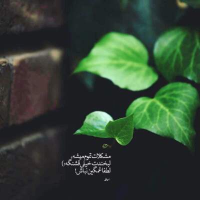دانلود آهنگ  مرا چشمیست خون افشان  ز دست آن کمان ابرو