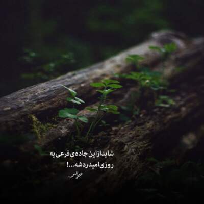 دانلود آهنگ  مریض حالی