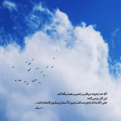 دانلود آهنگ نفس بکش تو در گوشم یه حالی شم بپره هوشم از علی عباسی دانلود آهنگ نفس بکش تو در گوشم یه حالی شم بپره هوشم از علی عباسی