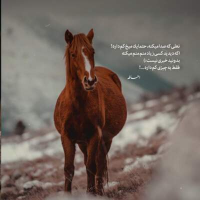 دانلود آهنگ  پادشه خوبان از مهدی رجبی