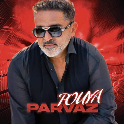 دانلود آهنگ  پرواز با صدای پویا