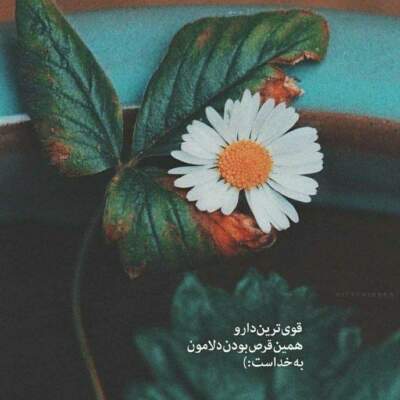 دانلود آهنگ  دریچه