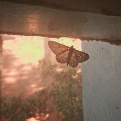 دانلود آهنگ  کریم آراز kalbim seni başka tanırdı