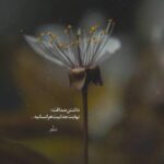 دانلود آهنگ ۷ باند دوست دارم دوست دارم هنوز عشق منى دانلود آهنگ ۷ باند دوست دارم دوست دارم هنوز عشق منى