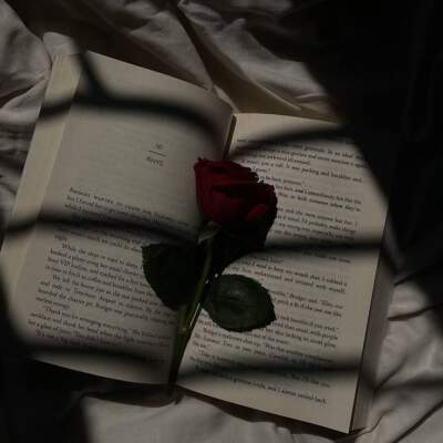دانلود آهنگ  اگه صد بار میمردم واست
