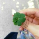 دانلود آهنگ اکبر گلپایگانی ای ساقی آرامم کن دانلود آهنگ اکبر گلپایگانی ای ساقی آرامم کن