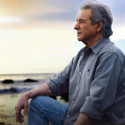 دانلود آهنگ  گل عروس با صدای عارف