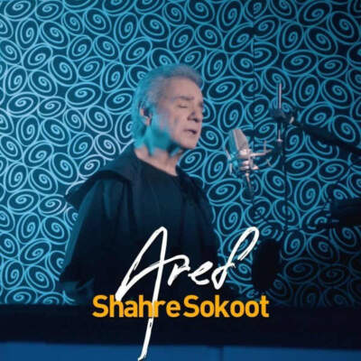 دانلود آهنگ  شهر سکوت با صدای عارف