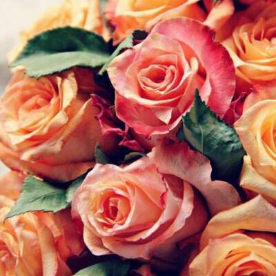 دانلود آهنگ  عاشقت شدم رفت خودم از دلم علی عبدالهی