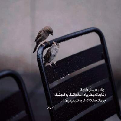 دانلود آهنگ  از تو خواندم از شب بالا بلند گیسوانت از آرمان گرشاسبی