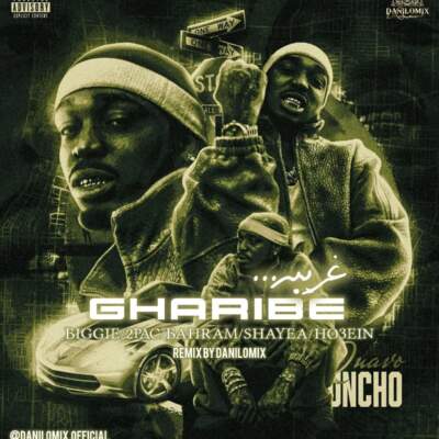 دانلود آهنگ  غریبه با صدای گوگوش بهرام حصین شایع توپاک