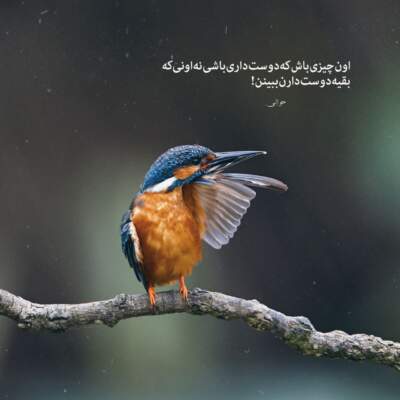 دانلود آهنگ بهنام بانی من زدم دلمو به دریا تو هم دل منو دریاب دانلود آهنگ من زدم دلمو به دریا تو هم دل منو دریاب