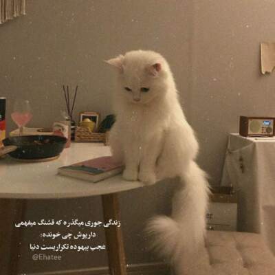 دانلود آهنگ  بزنم نفت در بیاد امیر تتلو