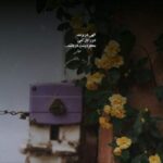 دانلود آهنگ دﻣﺖ ﮔﺮم ﺧﺪاﻳﻰ ﺑﮕﻮ اﻟﺎن ﻛﺠﺎﻳﻰ ﺗﻮ ﻣﺎل رﻓﺘﻦ ﻧﺒﻮدی