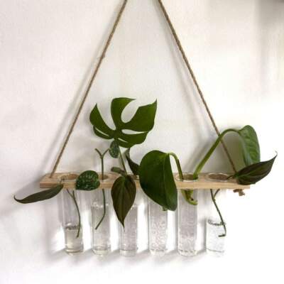 دانلود آهنگ  دیر یا زود درختی که کاشتیم میوه میده عزیزم حسین پارسا