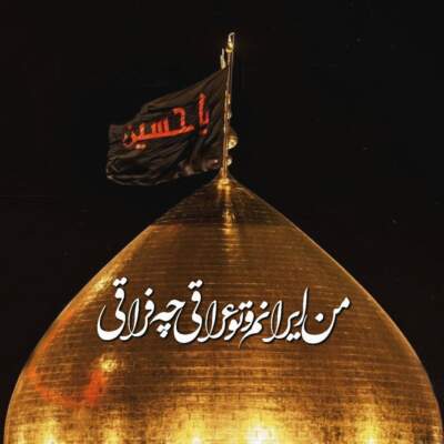 دانلود آهنگ  الهی هیشکی داغ شمشادش نبینه