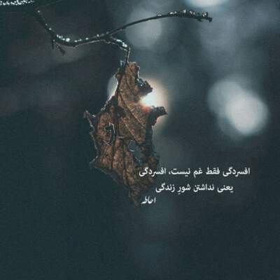 دانلود آهنگ گیرم مثل من باشه مغرور و عاشق دانلود آهنگ گیرم مثل من باشه مغرور و عاشق