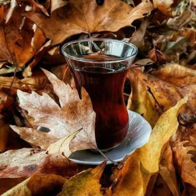 دانلود آهنگ  گلم را میبرن چاره ندارم