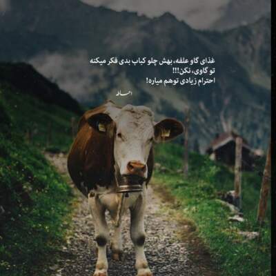 دانلود آهنگ  همه بالا دو متریم ام بی ای کش مانی ای تی ام