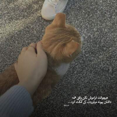 دانلود آهنگ  همه دونن منه مال مون تو لیوه یکیم