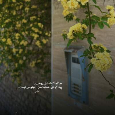 دانلود آهنگ من زاده ی علی مرتضایم محمد اصفهانی دانلود آهنگ من زاده ی علی مرتضایم محمد اصفهانی