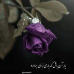 دانلود آهنگ مهدی منافی یه جوری میخوامت