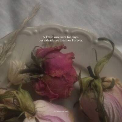 دانلود آهنگ  موج از مهستی