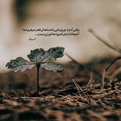 دانلود آهنگ  مو چتری شمامه از شهاب فالجی