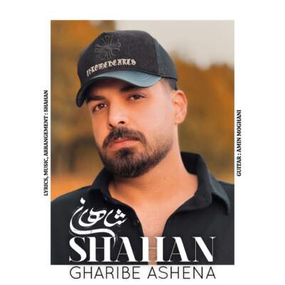 دانلود آهنگ  غریب آشنا با صدای شاهان