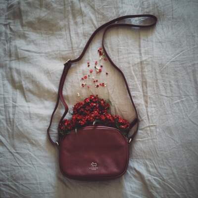 دانلود آهنگ سی دخت هاجرو خودمه تو گل میپلکونم دانلود آهنگ سی دخت هاجرو خودمه تو گل میپلکونم