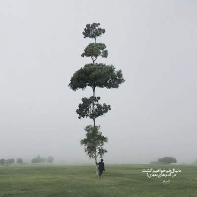 دانلود آهنگ  تو جان دلی درمان دلی یک ماهی پیدا شده در آب گلی مهراد