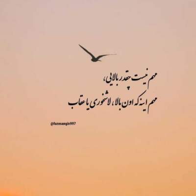 دانلود آهنگ  واسه اینه که همدم مستا شدم