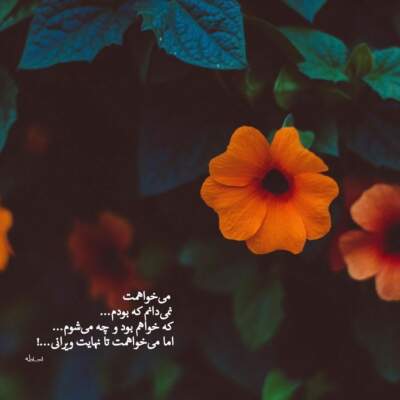 دانلود آهنگ  به به ببین کی اومده تو زندگیم با صدای مهرشاد