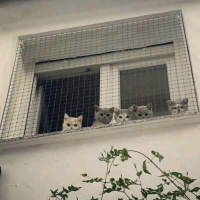 دانلود آهنگ  غروب کوهستان