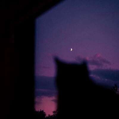 دانلود آهنگ  دافی میخواد بوس دلش سپی معکوس بکش