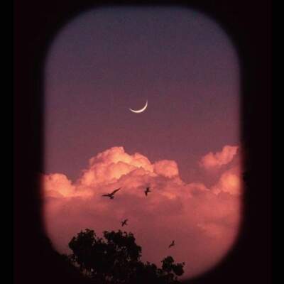 دانلود آهنگ  خوابیدی رو بال موجا از ماهان بهرام خان